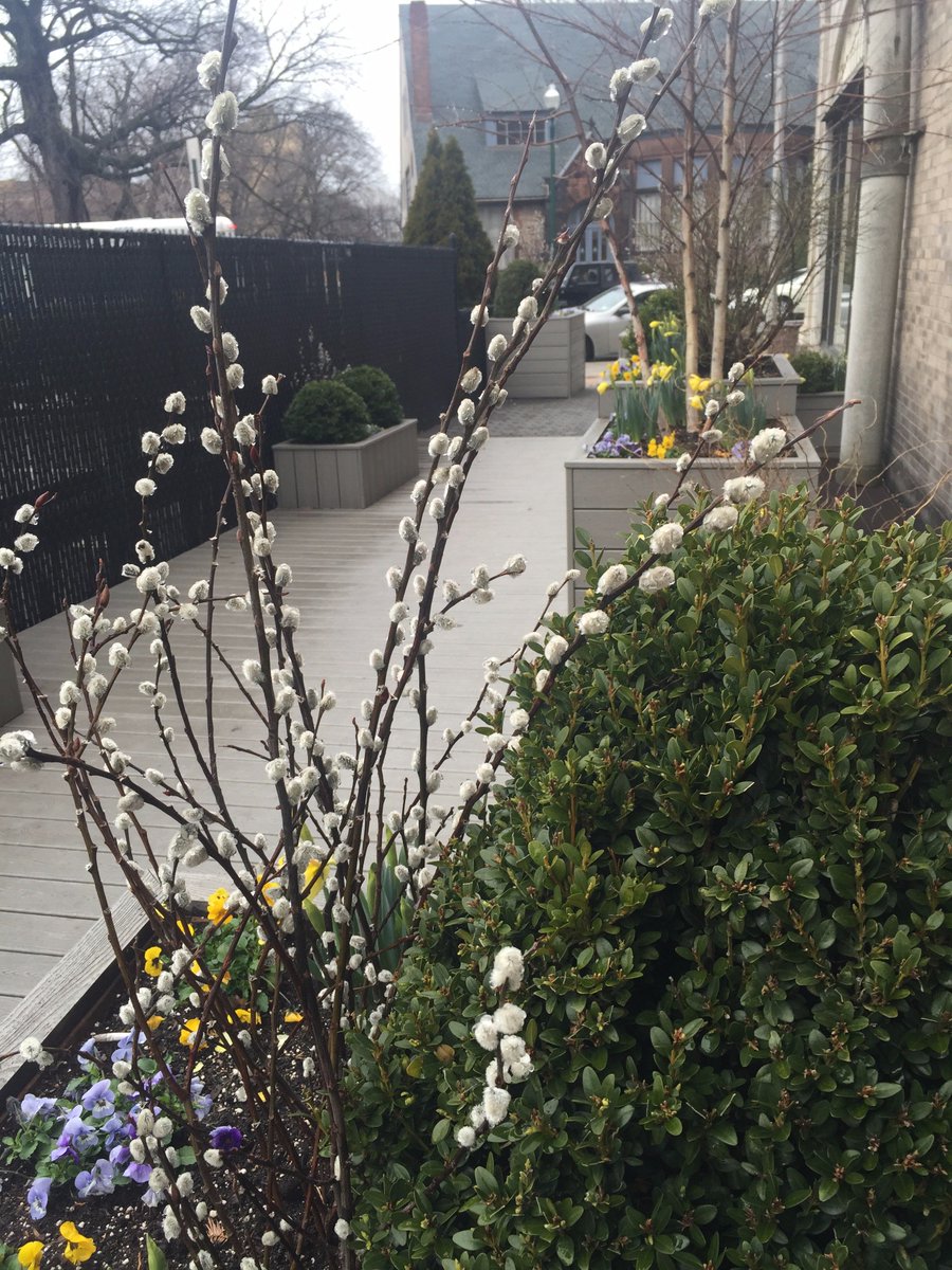 DobanArch's tweet photo. #HappyFriday and #happyspring from Huguenot Walkway! https://t.co/Ku2HRLUt3U
