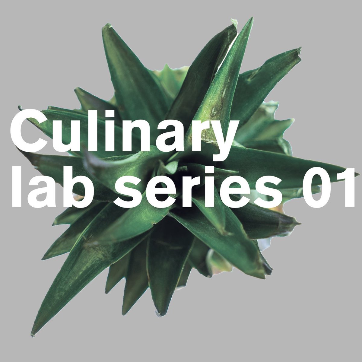 ExploreEdmCo's tweet image. This Sun marks the 1st #CulinaryLab w @davidwleeder. Join us &amp;amp; Rostizado's @grub_mcgraw for an amazing dinner buff.ly/2n8D1XI #yegdt