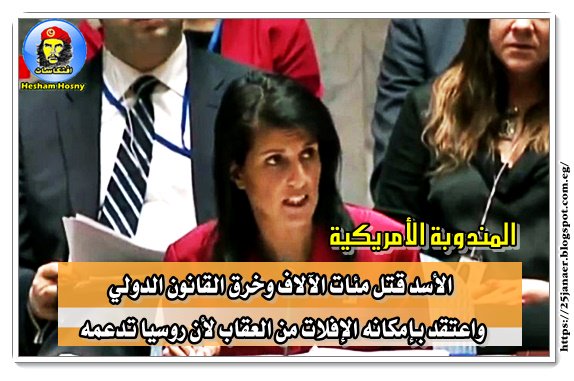 السفيرة الأمريكية: الأسد قتل مئات الآلاف وخرق القانون الدولي واعتقد بإمكانه الإفلات من العقاب لأن روسيا تدعمه