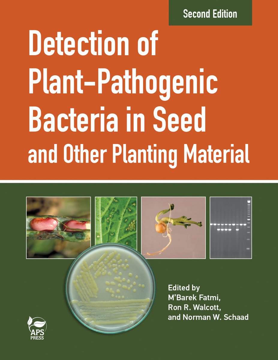 plantdisease's tweet photo. NEW Book Alert! @plantdisease's "Detection of #PlantPathogenic Bacteria in Seed." Shop #APSPRESS. Members save 10%! https://t.co/DqzXUJKsfa https://t.co/ixY5BWImVG