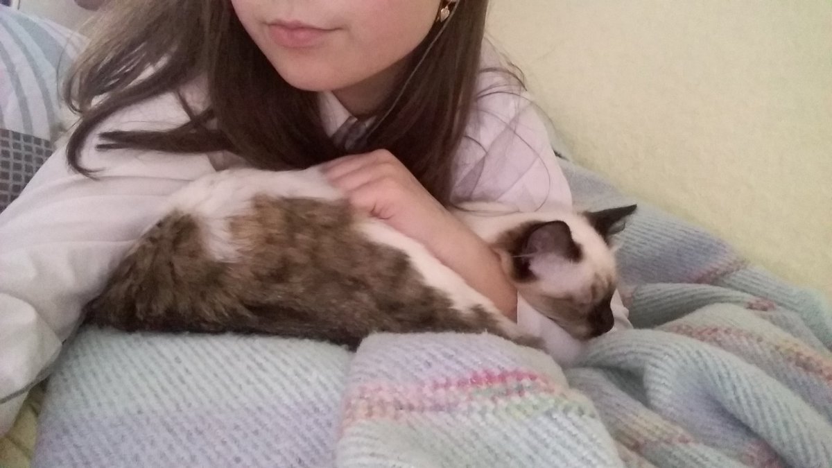 urwiafu_'s tweet photo. моя любовь 😽💛 https://t.co/TR6CwBc0uF