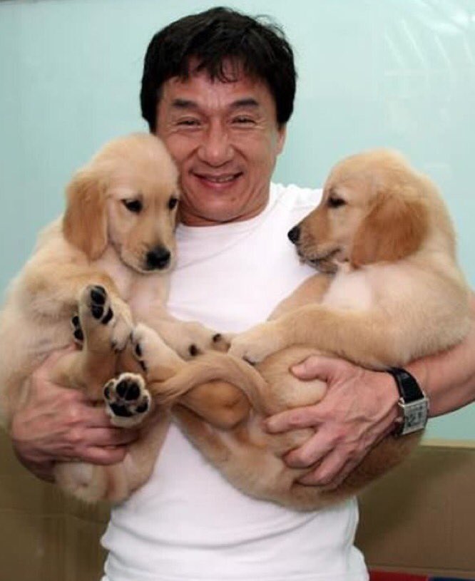 \" Jackie Chan turns 63 today! 

Happy bday, legend
More shine to your armour