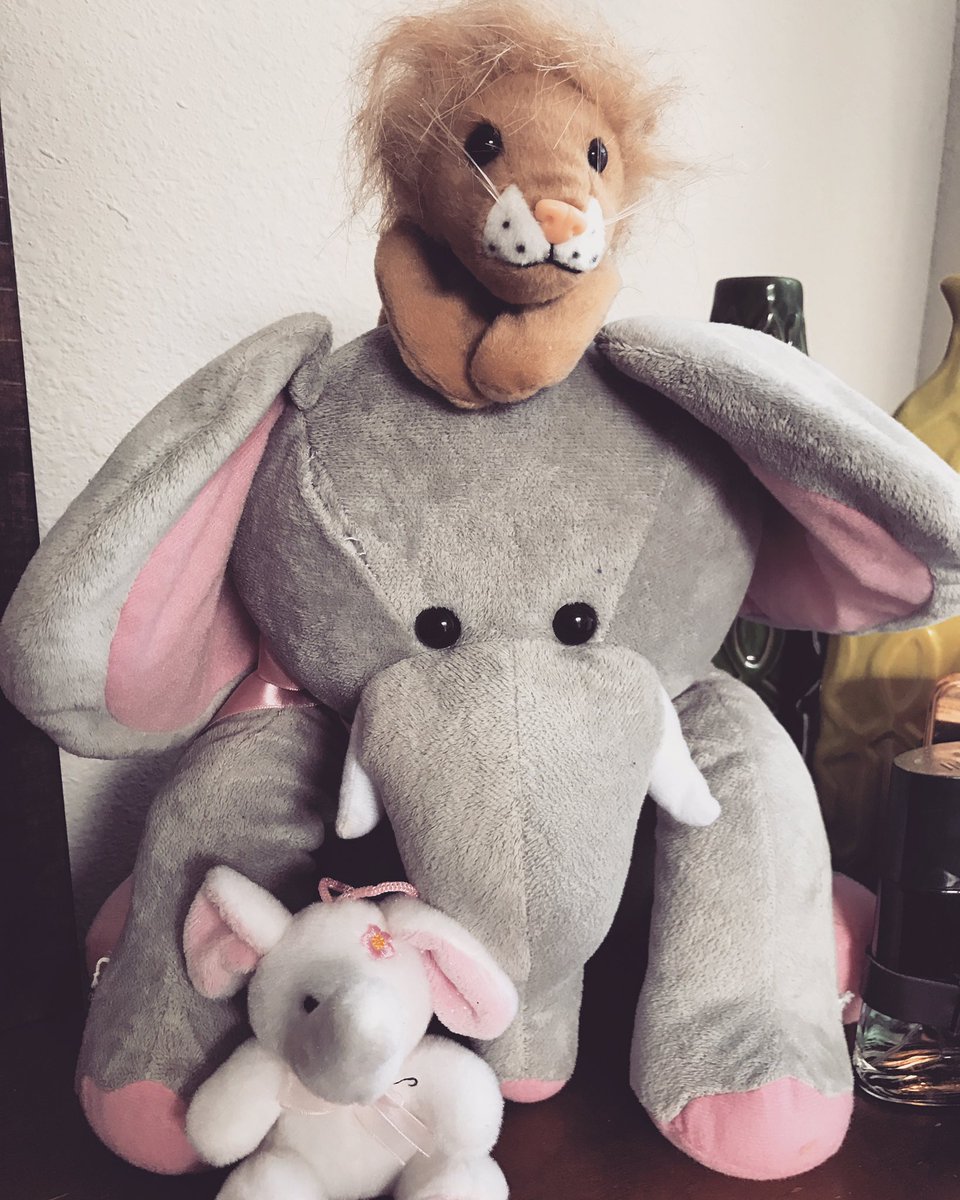 FDA_QRC's tweet photo. Meet Einstein and his new friends! Don't forget to post pictures with him to win amazon gift card... #ROARfdaqrc #amazongiftcard https://t.co/I0mx9rDvsC