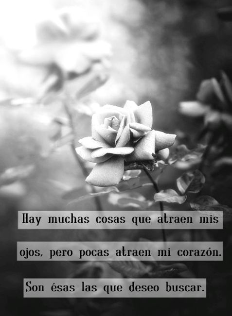 maguy almarales (@almaralesmaguy) on Twitter photo 