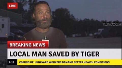 DoubleDJames76's tweet photo. @sharoney67 @Everyone @Let72Lobo @sue_stannett @MissKatieLester @LoriRowland @NewJeffCT @TheWalkingDead @NellyBelle3379 @leezermae Word up Sharon all winks hope all is well Haha. #HappyWalkerWeekend .I am still going thru withdrawal&will,be 4 a while. Sue helped get this https://t.co/jkqJbZWhWc