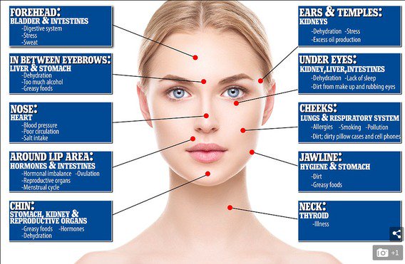 CebeliaCanada's tweet photo. What your skin says about your health https://t.co/1EHhArySgS https://t.co/IML4WQF0ud