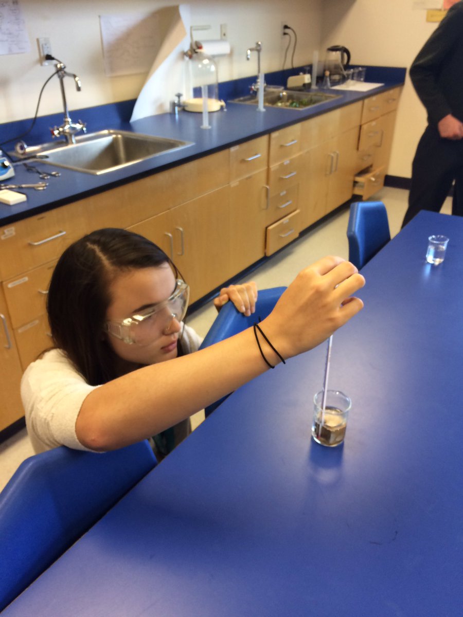 rwBISB's tweet photo. Y12 #IBDP physics students are examining specific heat capacity of metals within their thermal topic
@BISB_School https://t.co/oM5NqDGChX