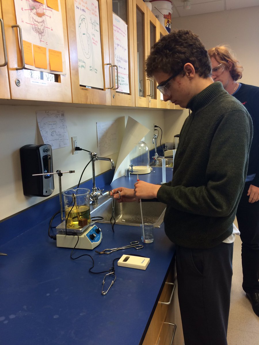 rwBISB's tweet photo. Y12 #IBDP physics students are examining specific heat capacity of metals within their thermal topic
@BISB_School https://t.co/oM5NqDGChX