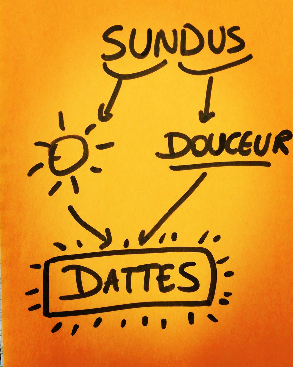 SundusDates's tweet photo. Sundus dates : du soleil + de la douceur = dattes https://t.co/bfd4UTPsH7