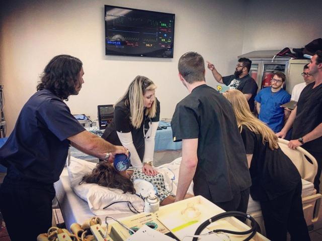AmandaPientka's tweet photo. To shock or not to shock?! @TCOMEMIG students were a blast at yesterday's SIM lab. @MacKrellDO @JPS_EMRes https://t.co/cRaiSZ9JU6