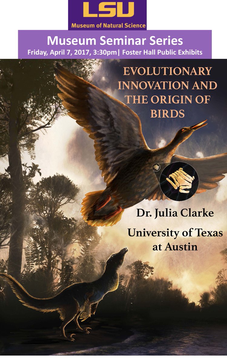 LSU_MNS's tweet photo. Reminder: #MuseumSeminar today! https://t.co/Zg2s8LEfYx