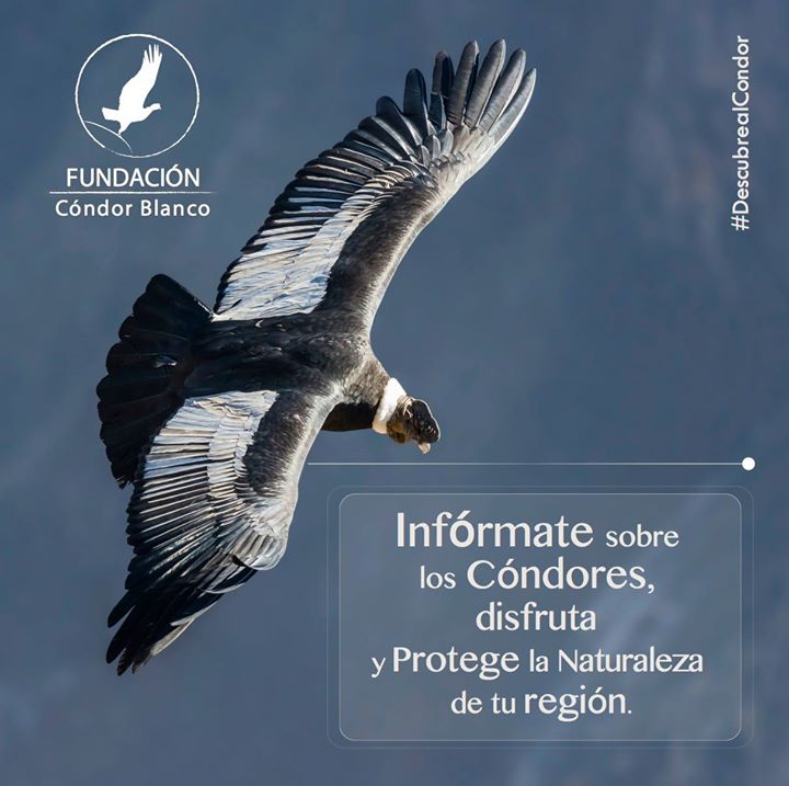Fundación CB tweet media