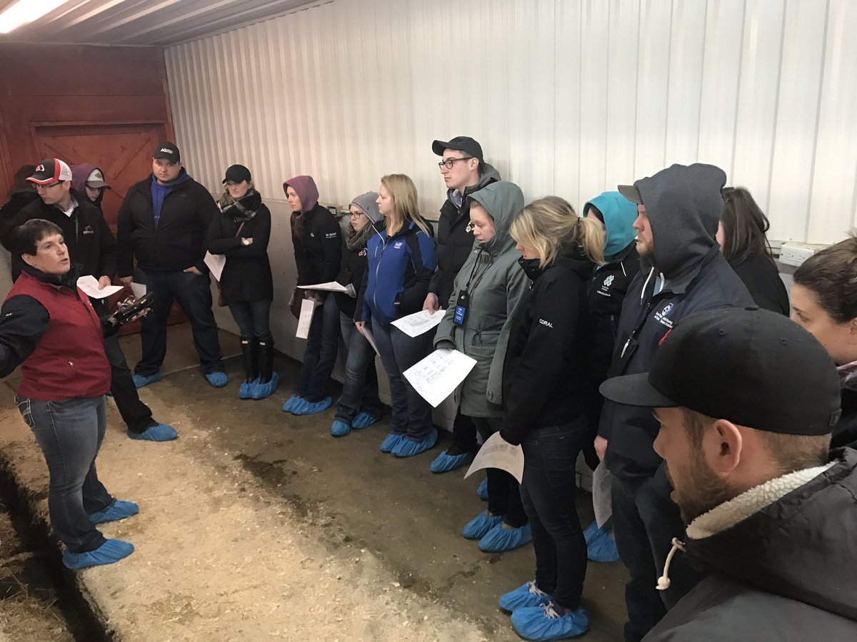 Jeanette_VdL's tweet photo. @HolsteinCanada classification demo at @QualityHolstein // Demonstration sur le classification chez Quality Holstein #ScoreTheHerd https://t.co/gSIDJmsg6L