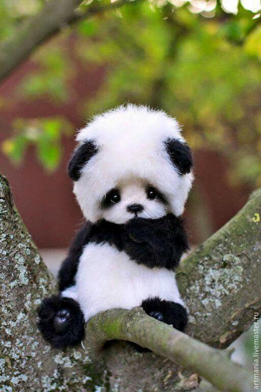 Marlousvdvelde's tweet photo. #NLPanda's Wu Wen & Xing Ya gaan komende woensdag naar NL! 🐼🐾. Eerst Jetlags; dan relaxen in #Ouwehandsdierenpark. Geen vrijwilligers nodig? https://t.co/5z1q7Wh4Co