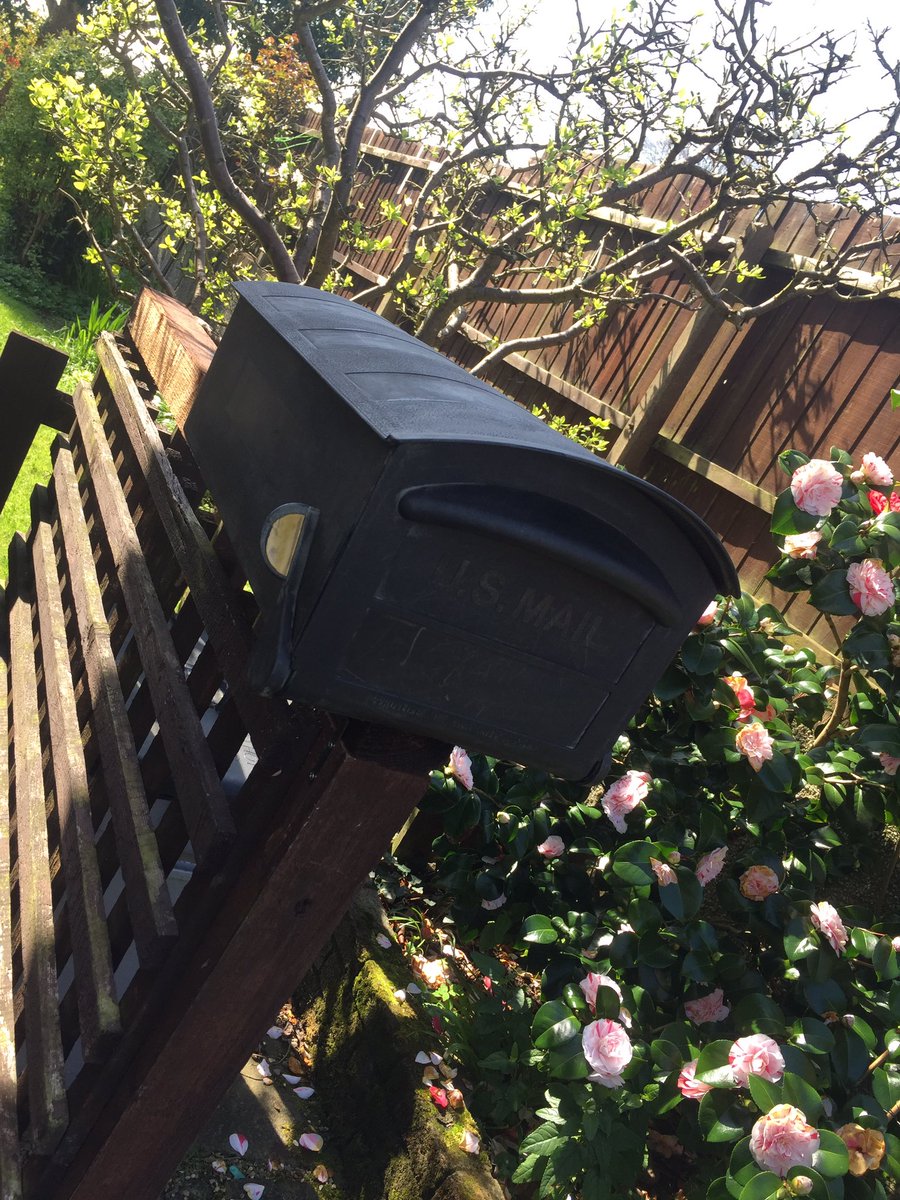angiemation's tweet photo. Exciting times delivering leaflets for #Labour in #Penarth this is the #letterboxoftheweek #labourdoorstep #labourleaflets #Labourwin17 https://t.co/5gnJQ8Ppo0