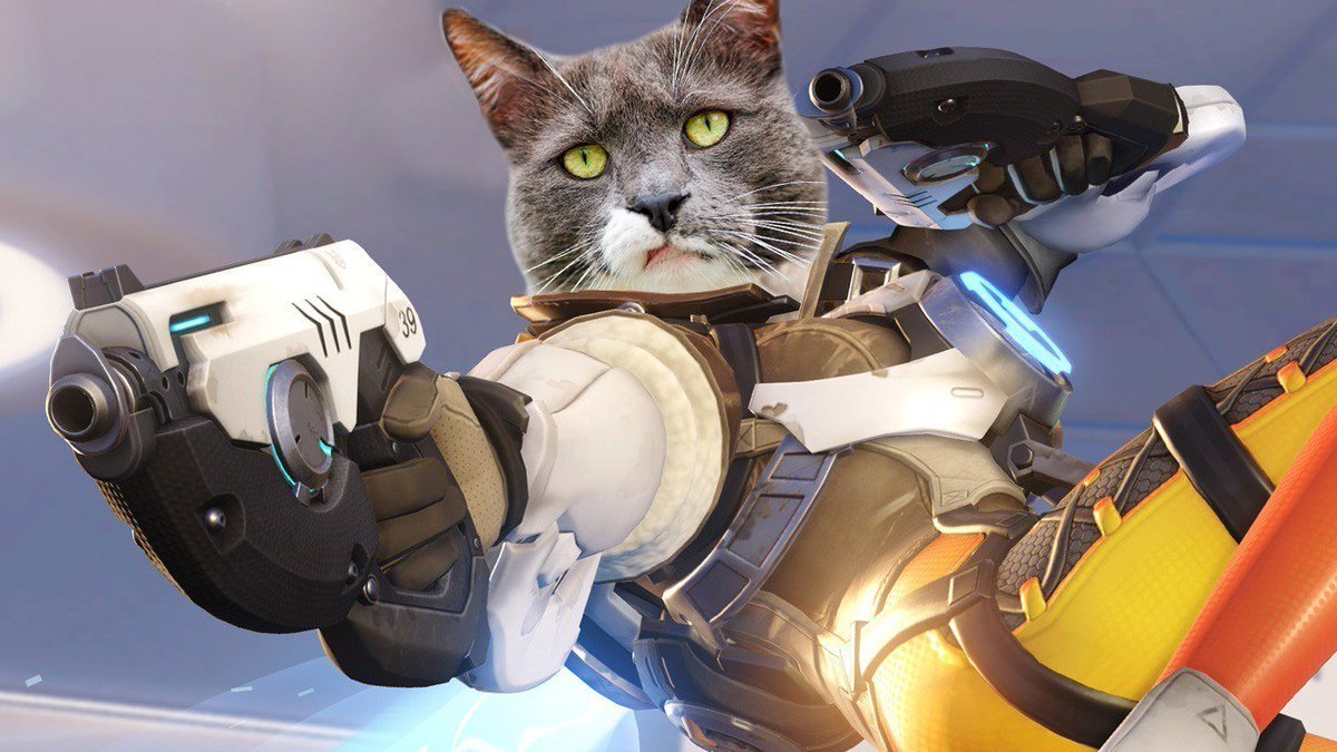 nexvoid's tweet photo. Overwatch Director Reveals Rejected "Cat in a Jetpack" Hero - IGN https://t.co/Ty6eheWd41 https://t.co/QPjcdxicDe