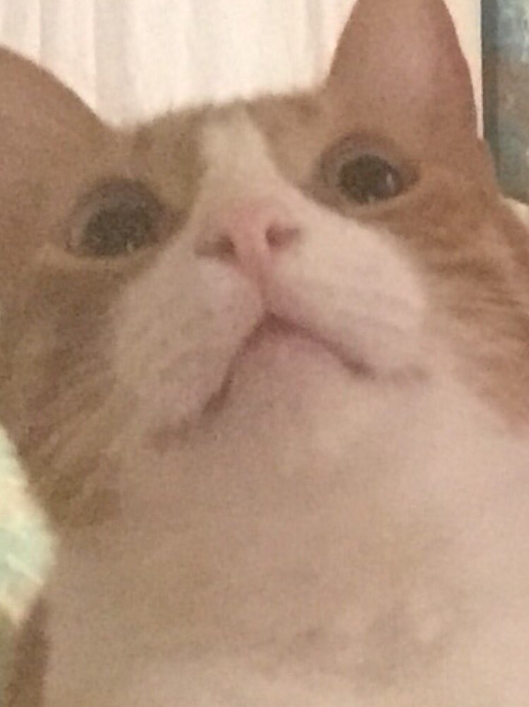 jennvance__'s tweet photo. Scrolling through my photos and found this and now I'm laughing uncontrollably someone plz send help https://t.co/mpX1aGF4Uv