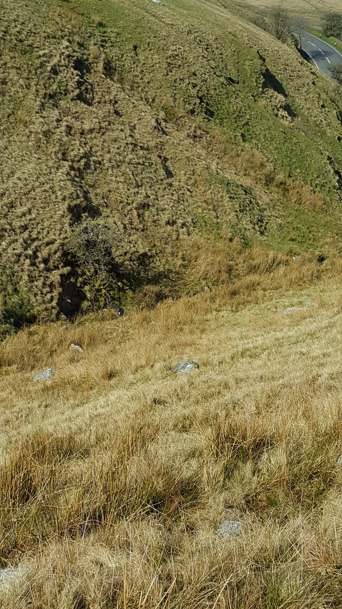 GeomorphicJosh's tweet photo. Tyre Valley: where Pyrelli, Michelin and Goodwin come to rest #BlackMountain #CU_EES https://t.co/K30mkpNEA1