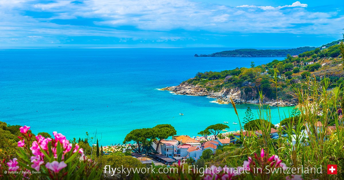 SkyWork Airlines tweet media
