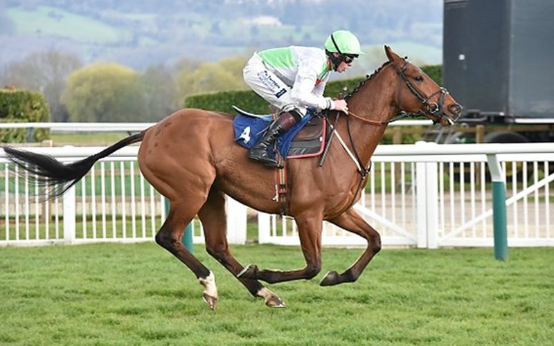 gordonredcon's tweet image. A must bet for all #recruiters this weekend is 'perfect candidate' in the #grandnational @AintreeRaces 🐎😎