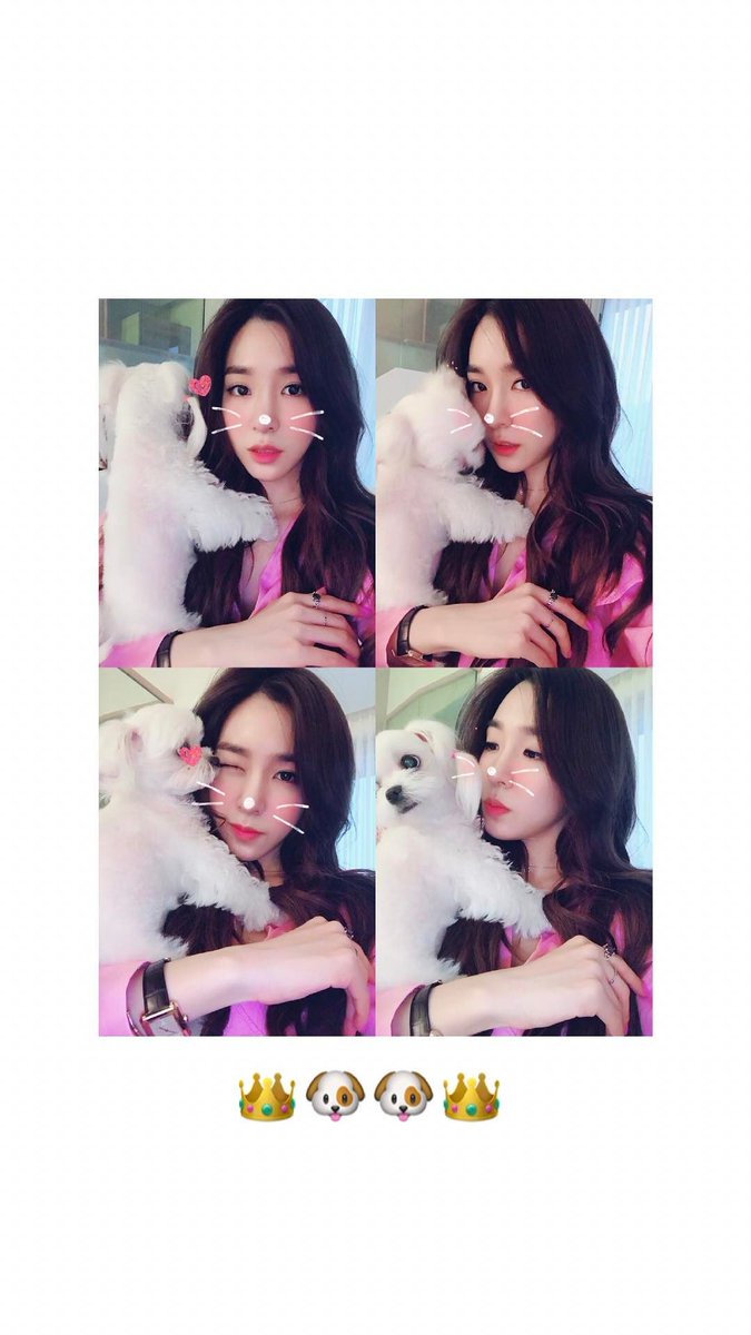 [OTHER][17-09-2014]Tiffany gia nhập mạng xã hội Instagram + Selca mới của cô - Page 14 C80Uyd2U0AE8x4E