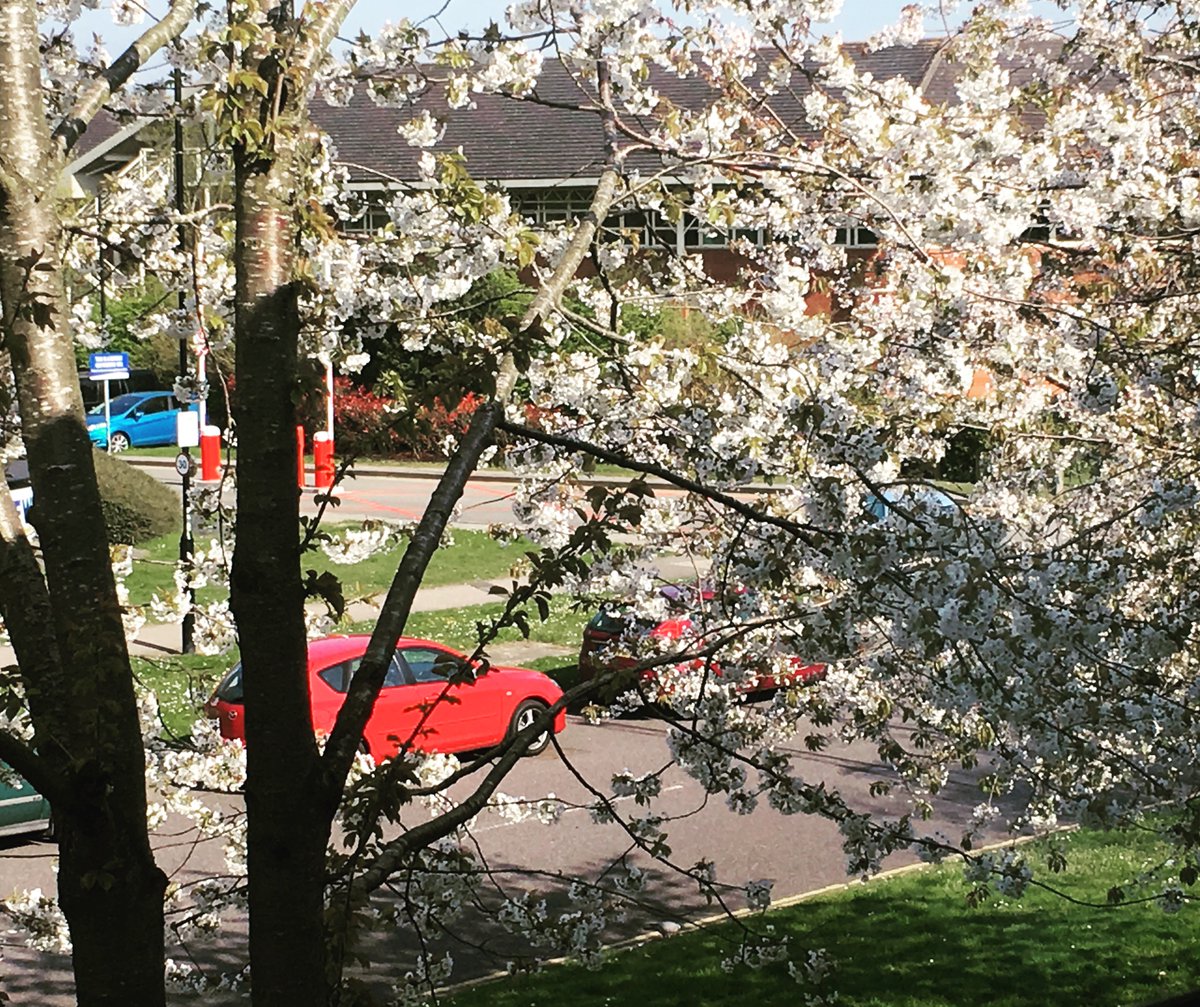 sophieEdafferns's tweet photo. Another lovely #spring day in #Coventry good thing my desk is by windows! #FridayFeeling #windowdesk https://t.co/CwRUdxohk4