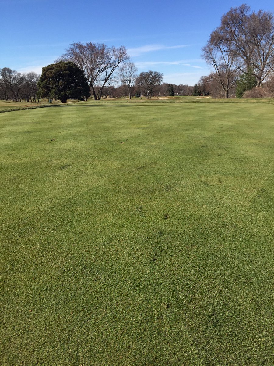 derek_oster's tweet photo. I thought the guys would be a bit rusty with there lines coming out of winter.  Not the case @MinikahdaClub  @PBJTurf  #mowin'bullets https://t.co/A0ubx1MzUq