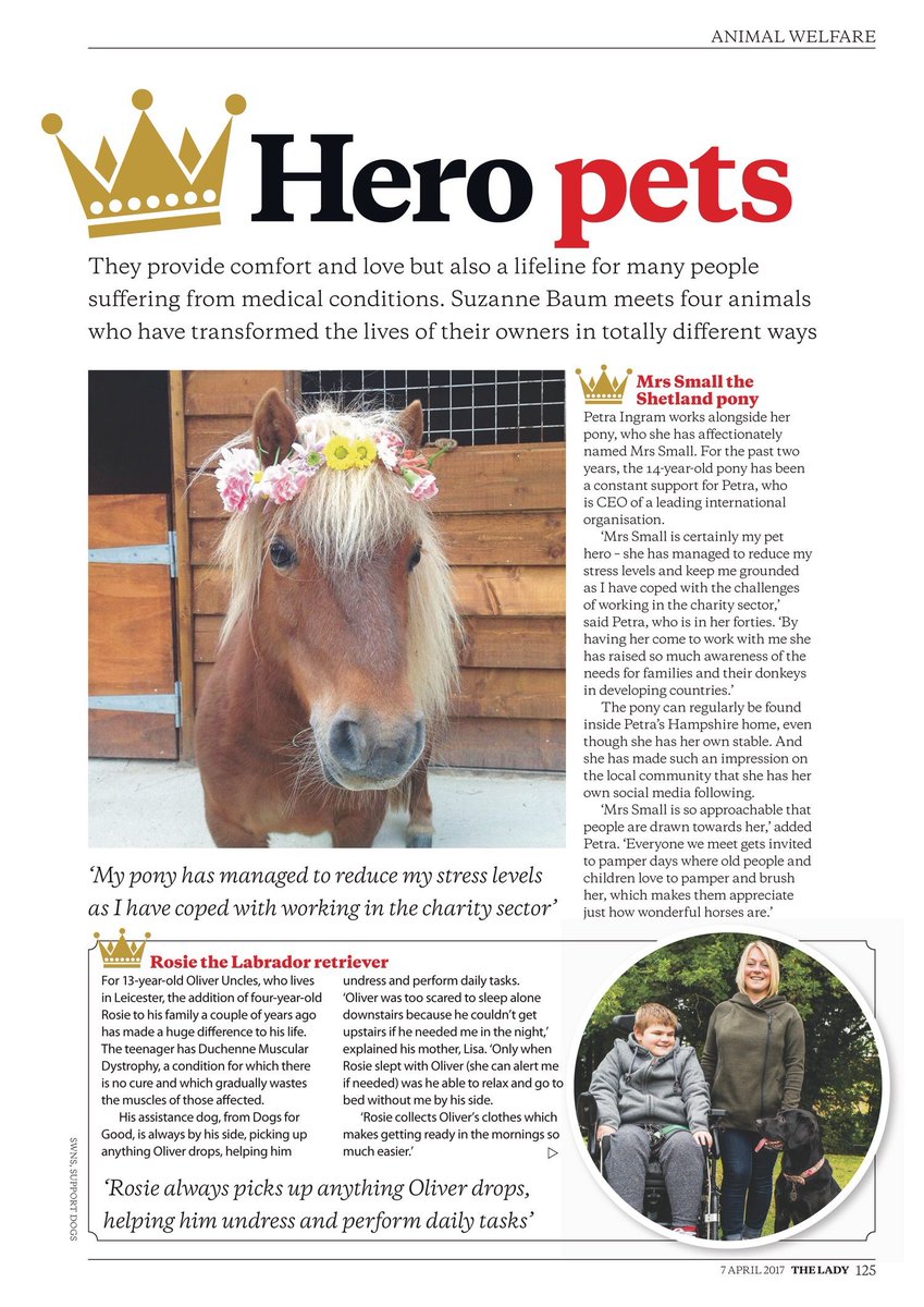 suzanne_baum's tweet photo. My hero pets in the latest edition of @TheLadyMagazine - the amazing work of @DogsForGoodUK https://t.co/eRDKERpk7x