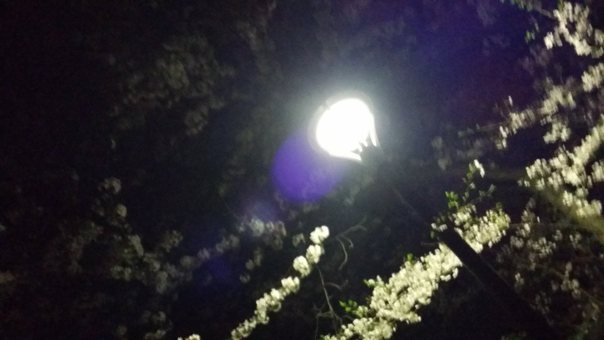 082808281's tweet photo. 東京来ました‼ https://t.co/73qWou7seT