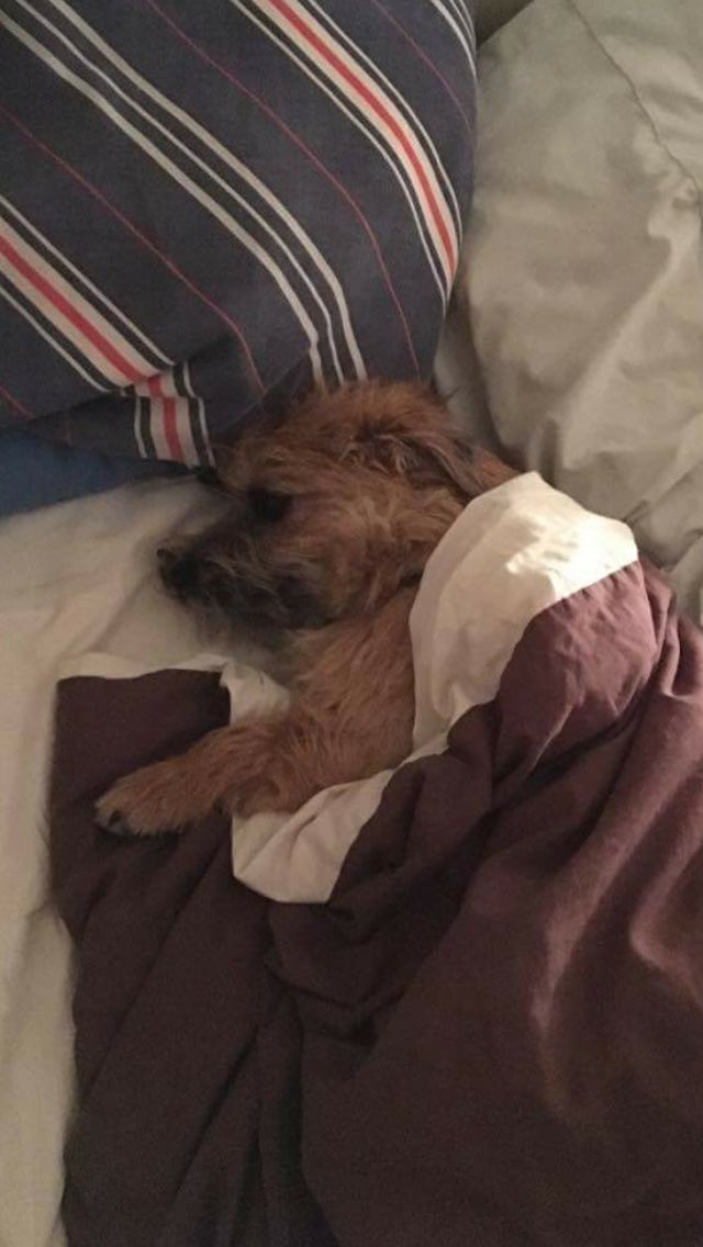 Lucy Jackson tweet media