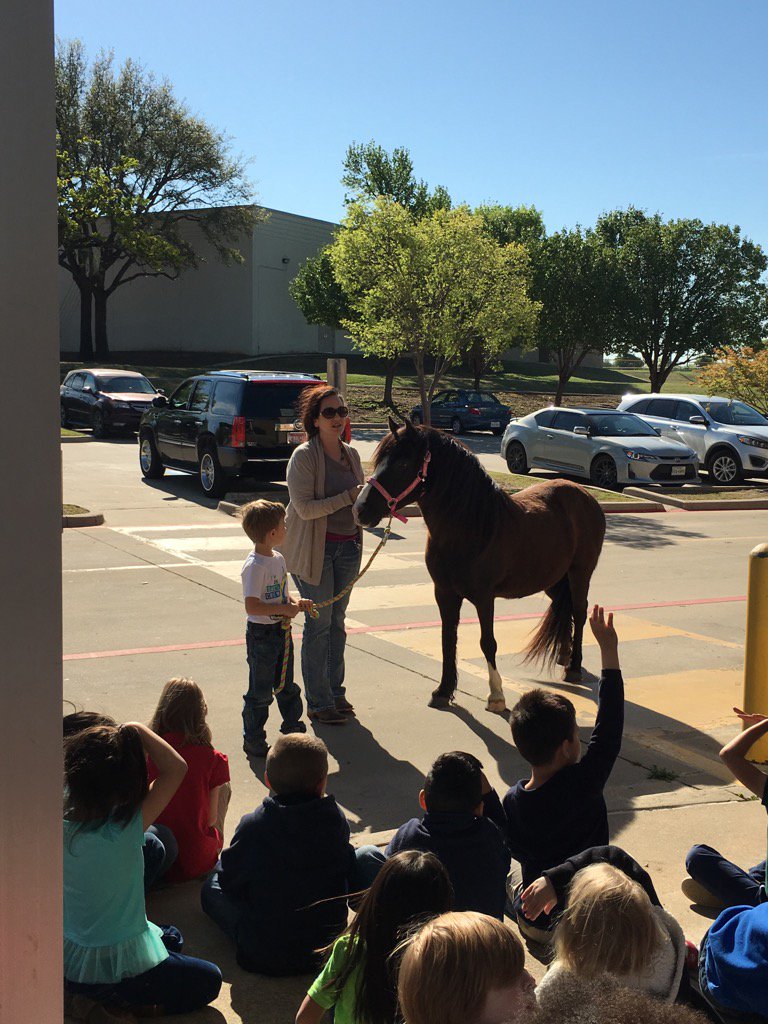 Kindergarten teacher's connect fiction to non-fiction.  How fun!