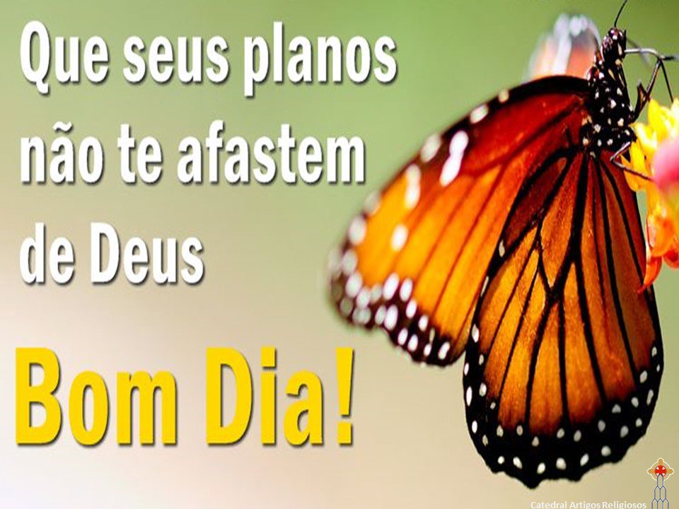 CatedralReligio's tweet photo. https://t.co/PlqZ8Lsbgg