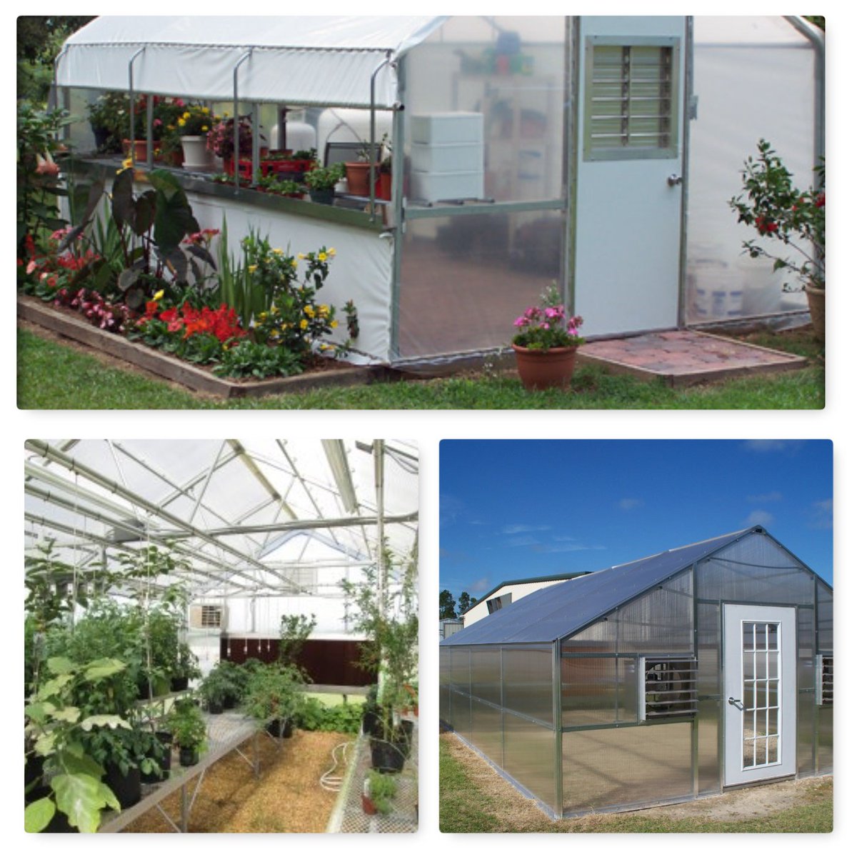 internetsalesus's tweet photo. #Educational #Greenhouses on sale https://t.co/4Jz9DnCq6Y @education @nj_green @sj_schools @greenschoolsorg  #sustain #teach @nature_NJ https://t.co/kD3H3Qy9BD