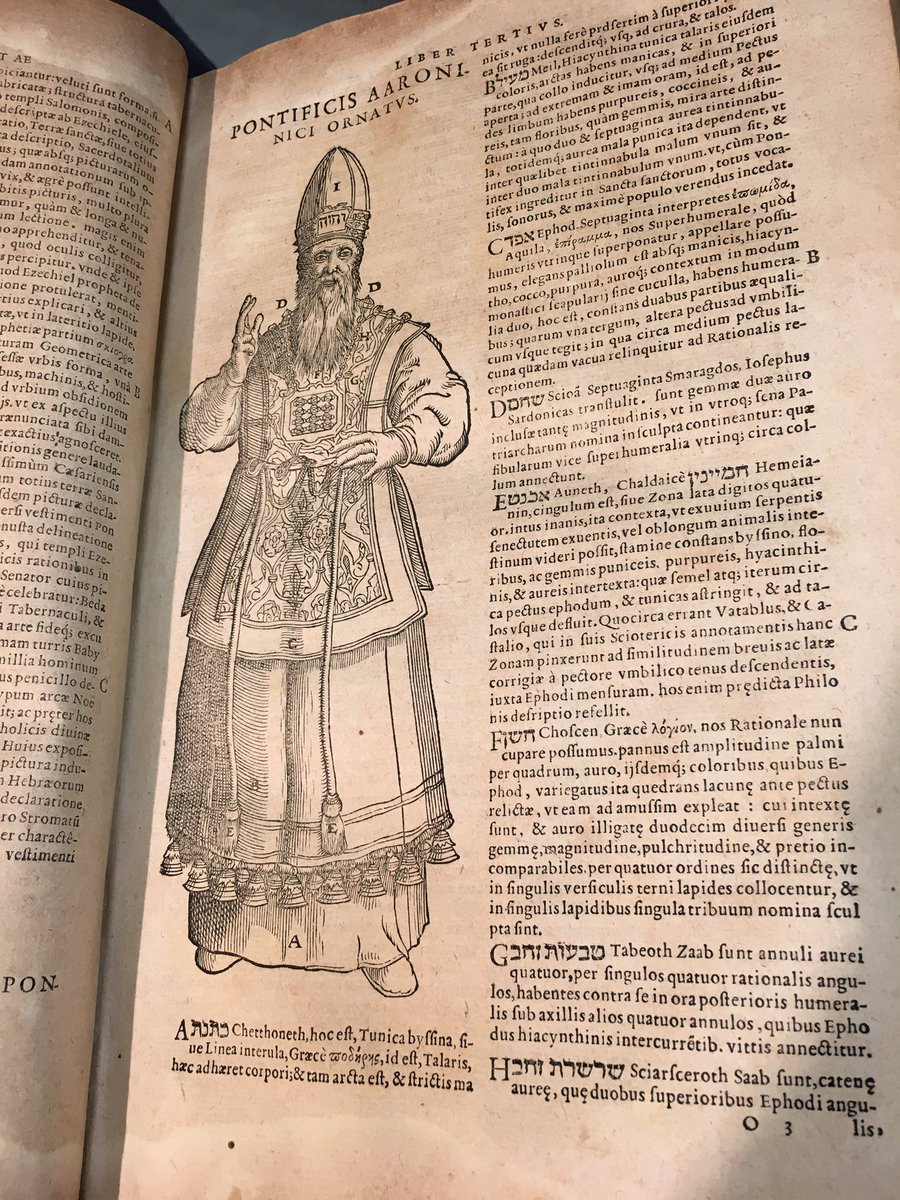 Elisa_Zmyrna's tweet photo. Curiosando fra i #libri in #asta @IlPonteLibri #venerdi #pomeriggio #viaPitteri #vitadilibri https://t.co/jMOAKTV8SB
