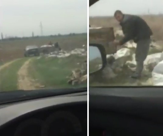 Посмотреть изображение в Твиттере