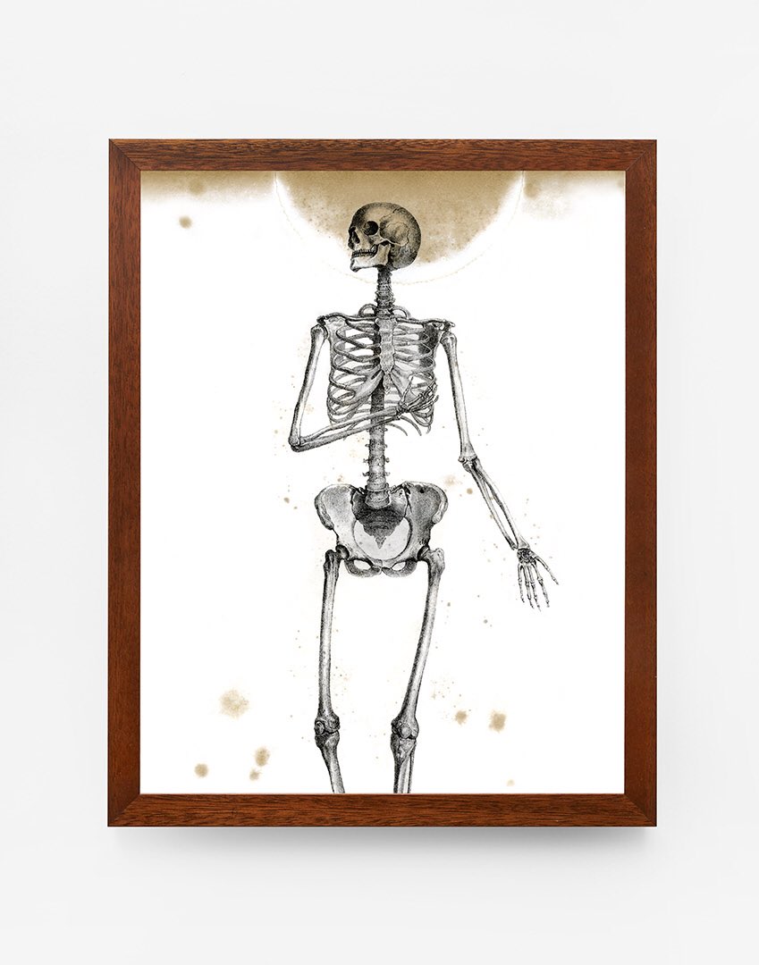 This print shows "foxing", the telltale signs of age and style. Free shipping... and free momento mori. #teambones #design #fridayfeeling