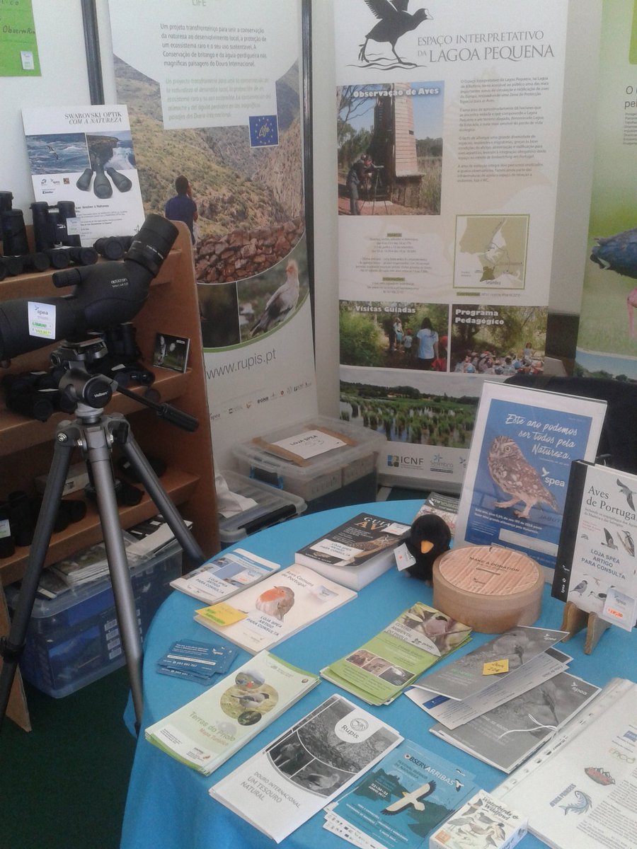 spea_birdlife's tweet photo. A #observaRia já começou! A #spea está por cá. Venham fazer uma visita. @BioriaEstarreja https://t.co/ByQ2vU8bWT #birdwatching #aves https://t.co/BjTcruGeGU