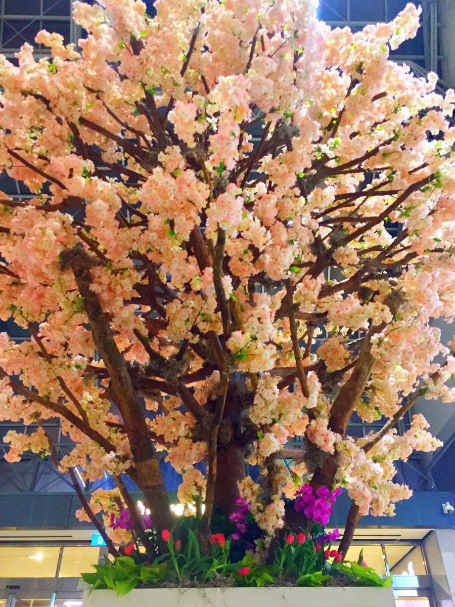 NorthStrategic's tweet photo. 🌷 spring 🌷is 🌷here🌷 Saying hello to the season at @CFtoeatonCentre! #CFHelloSpring https://t.co/BlmqFacMa6