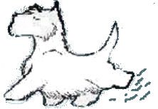 Paws_onCook tweet picture