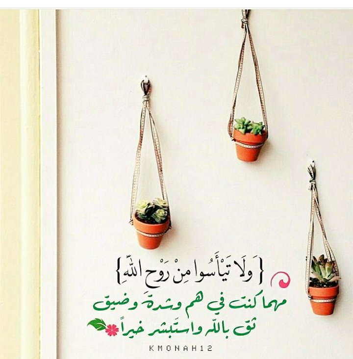 morbabil's tweet photo. اللهم صل ِ على خير البشر محمد وآل محمد. https://t.co/qgDKyzs19A