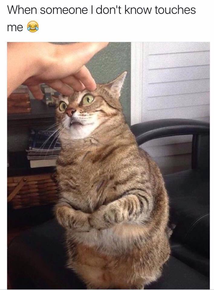 Students who try to hug you: