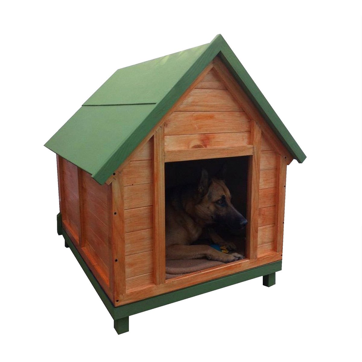 EL TEAM LABRADORES CHILE JUNTO A Inmobiliaria Mascotas SORTEAREMOS UNA CASA!
*INGRESEN A NUESTRO GRUPO CERRADO Y SIGAN LOS PASOS
🐶❤