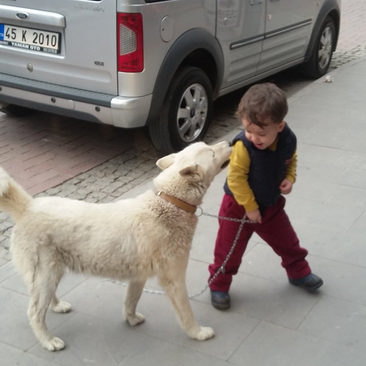 Bi öpücük alabilirmiyim