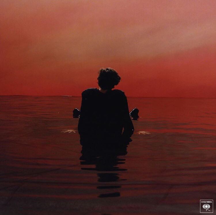 Caitlin_Roberts's tweet photo. Wow wow wow wow wow #signofthetimes @Harry_Styles https://t.co/2IYrPlIsB4