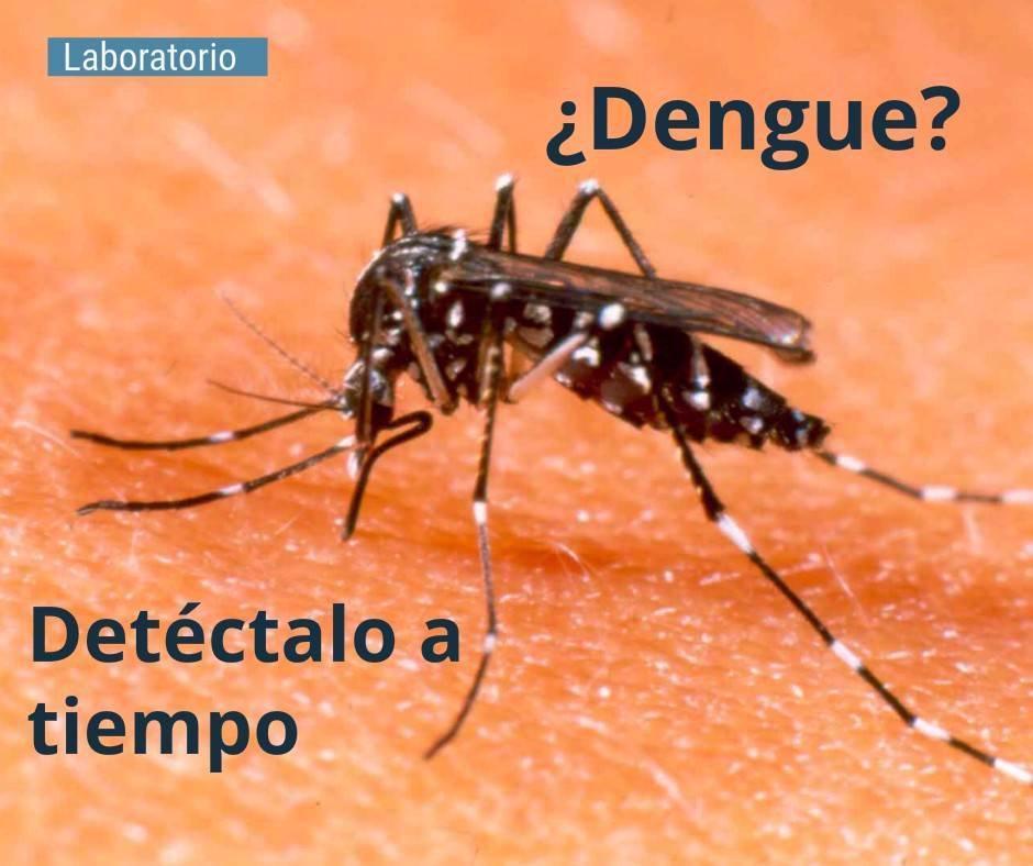 ididca's tweet photo. Con nuestro ensayo de EUROIMMUN Dengue NS1 Ag diagnosticamos la infección aguda por dengue a partir del 1er día que comienza la fiebre https://t.co/tRIqnYMF1p