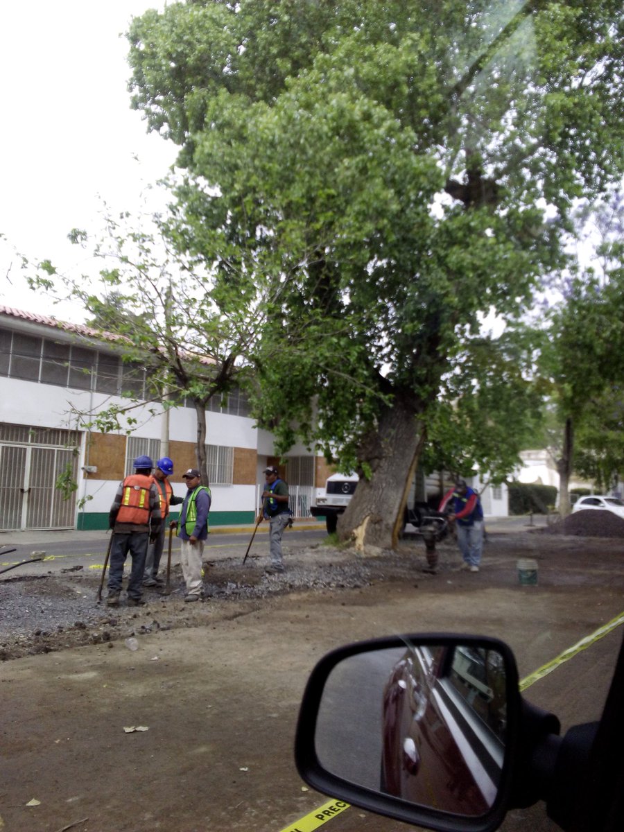 ESahuatoba's tweet photo. Cómo pueden hacer esto??? Es u a total aberración pavimentar entre los arboles para que se estacionen mas coches. @DrRamonEnriquez https://t.co/EJoMdQJtn1