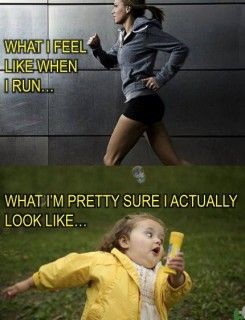 BanffHalf's tweet photo. No matter how you get it done - just run! Join us June 18th: https://t.co/gdXihHSZuv We don't judge :) #RunForIt #RunMeme https://t.co/ronURhnNsN