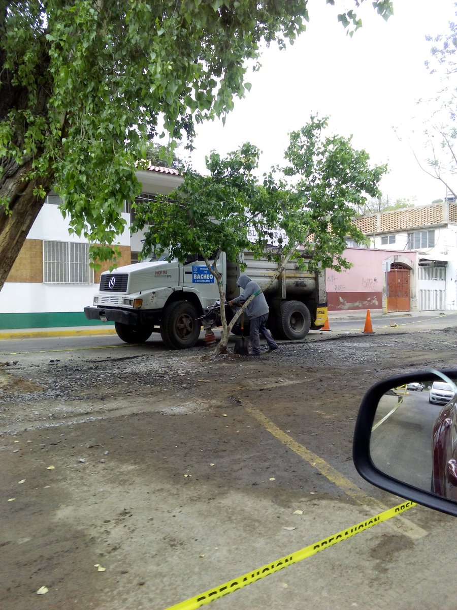 ESahuatoba's tweet photo. Pavimentar entre loa arboles para ampliar estacionamiento #aberrante idea, a quién se le ocurrió? @OraleQChiquito @ExpresaDurango https://t.co/pkMC2oDfq4