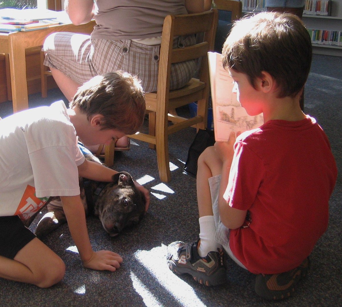 alachualibrary's tweet photo. Kids learn to love reading and the library because they Read With a Dog today at #HighSpringsLibrary 3:30PM https://t.co/LVXLtKggDM