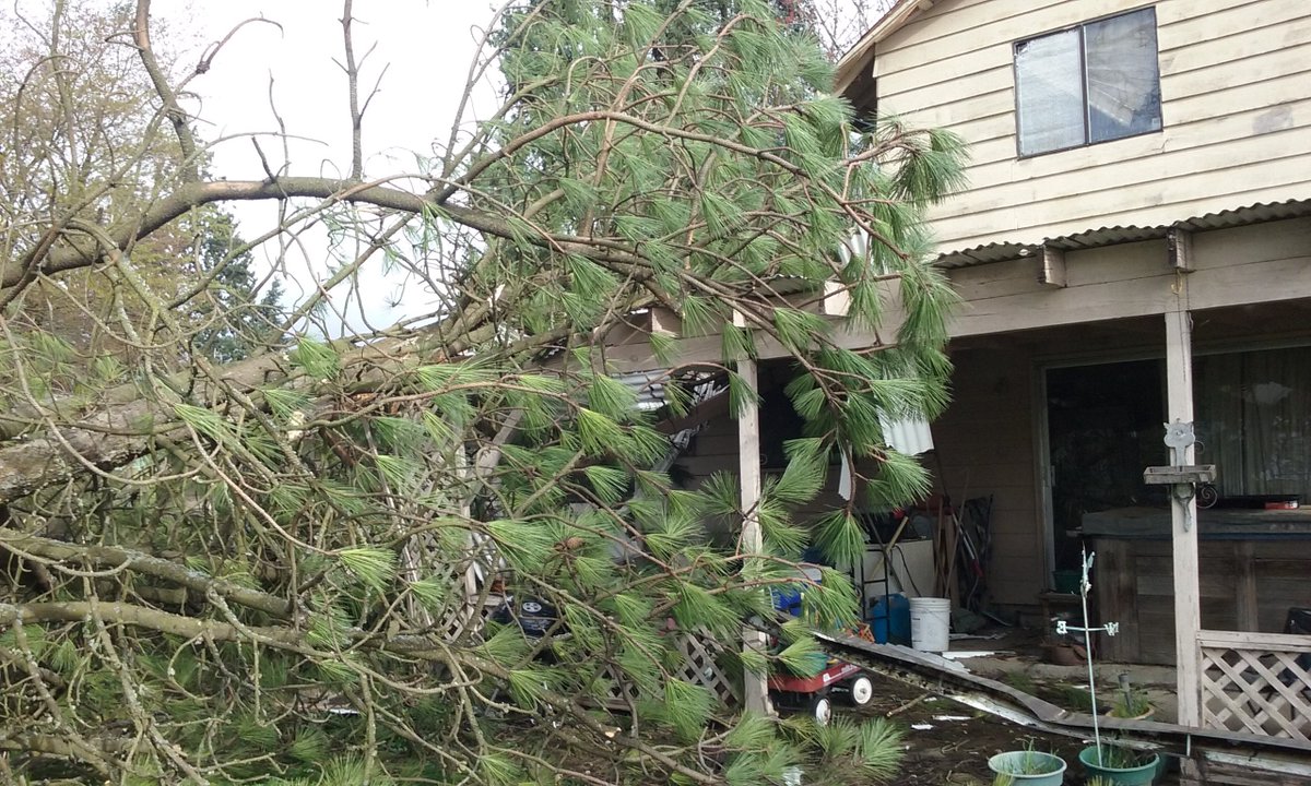 RuneScholar's tweet photo. Well, part of a tree fell on our House luckily everyone is fine. Didn't make it too much through the roof but the back porch got a lil rect. https://t.co/DjTRpQwKTM